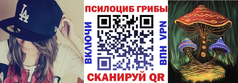 Псилоцибиновые грибы MAGIC MUSHROOMS  Купить где  Белая Калитва 